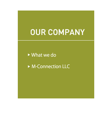 our company