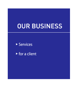 our business